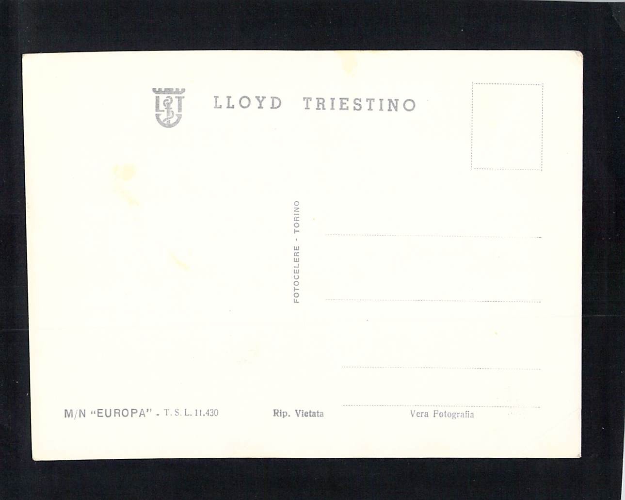 M1111ski Transport Ship MN Europa Lloyd Triestino postcard