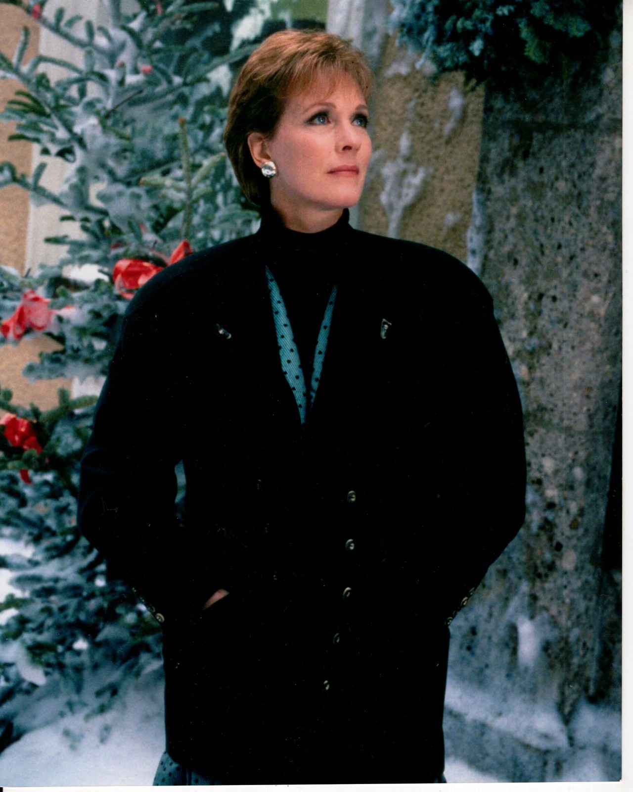 Julie Andrews 8×10 Photo #X0978