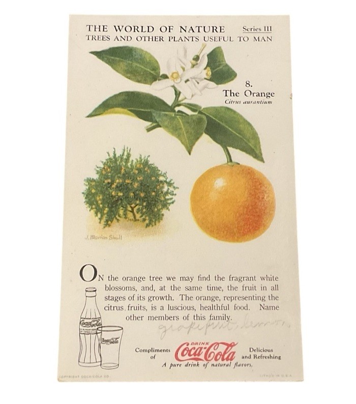 Coca Cola World of Nature Series III Orange Plants Useful To Man c1930s MQE1