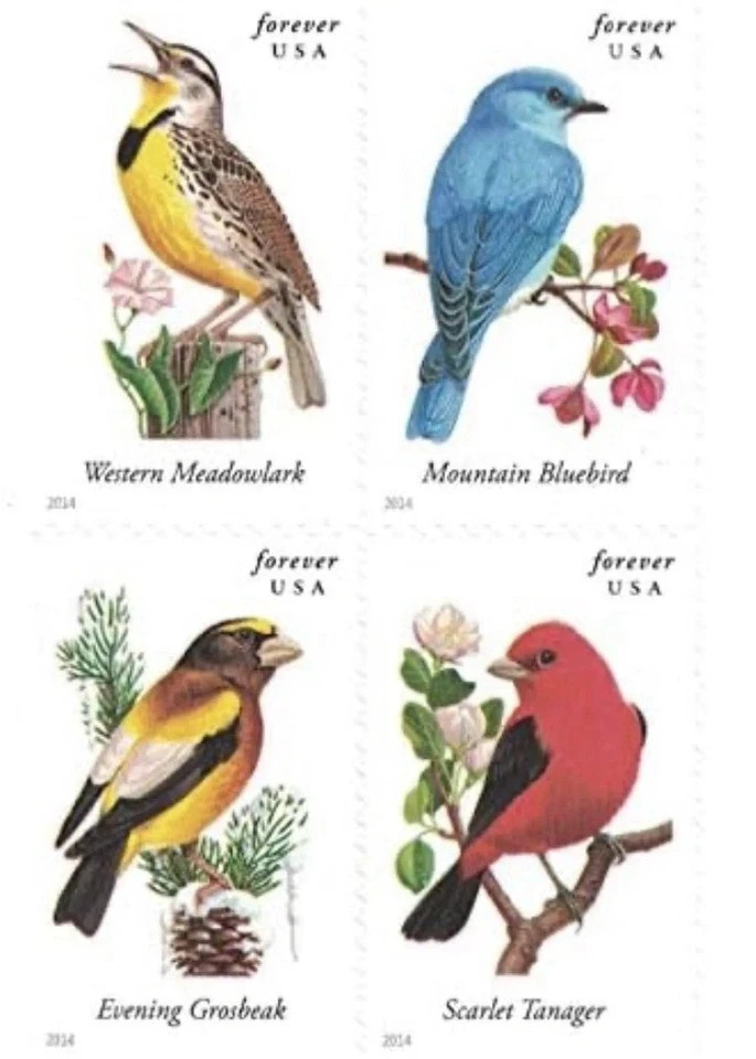 2014 US Songbirds For & ever Stamps Booklet Pane of 100 MNH Scott 4891b