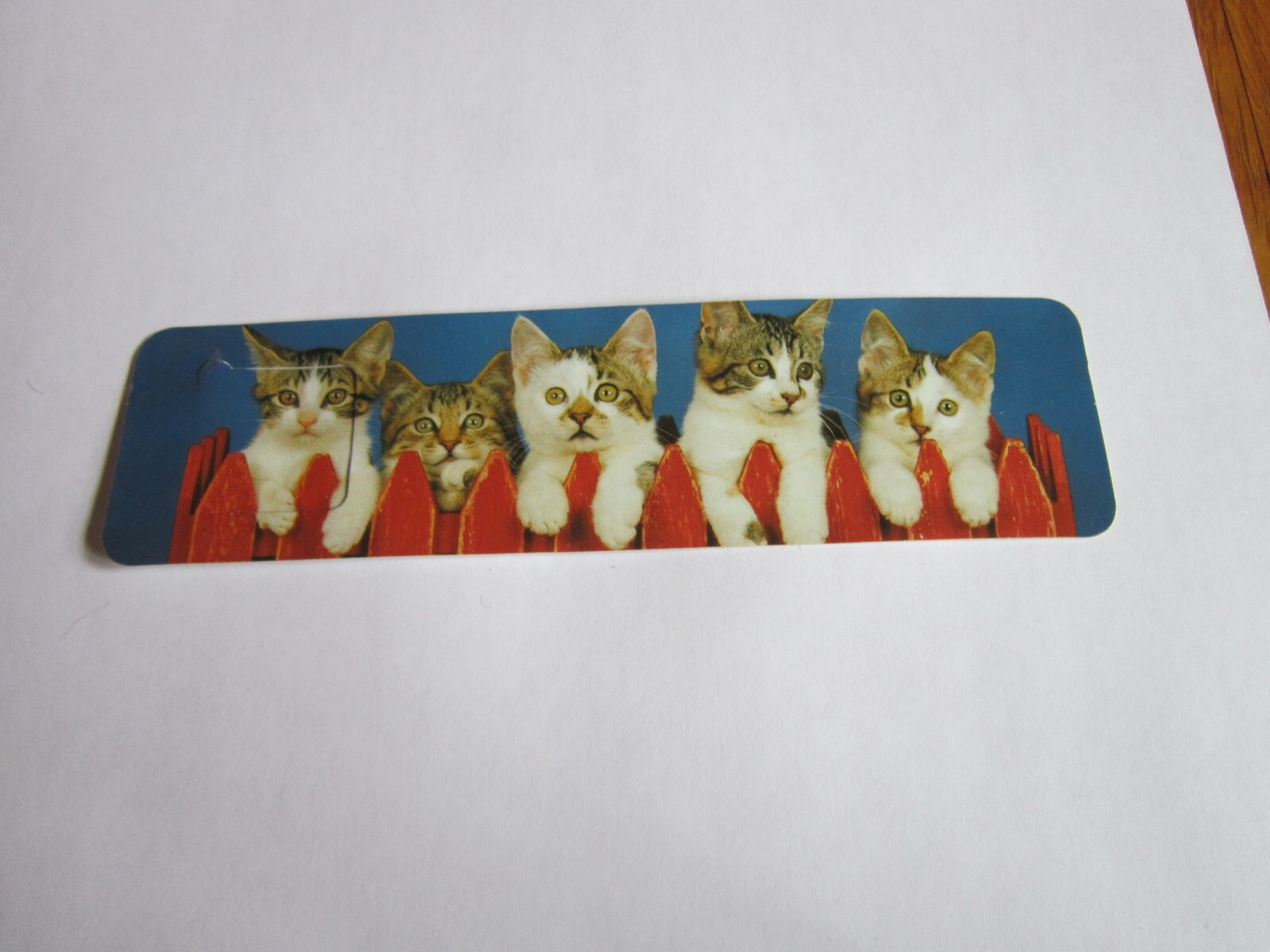Vintage Bookmark Kittens 5 on fence Ron Kimball 1990’s photo Antioch Tabby Cat