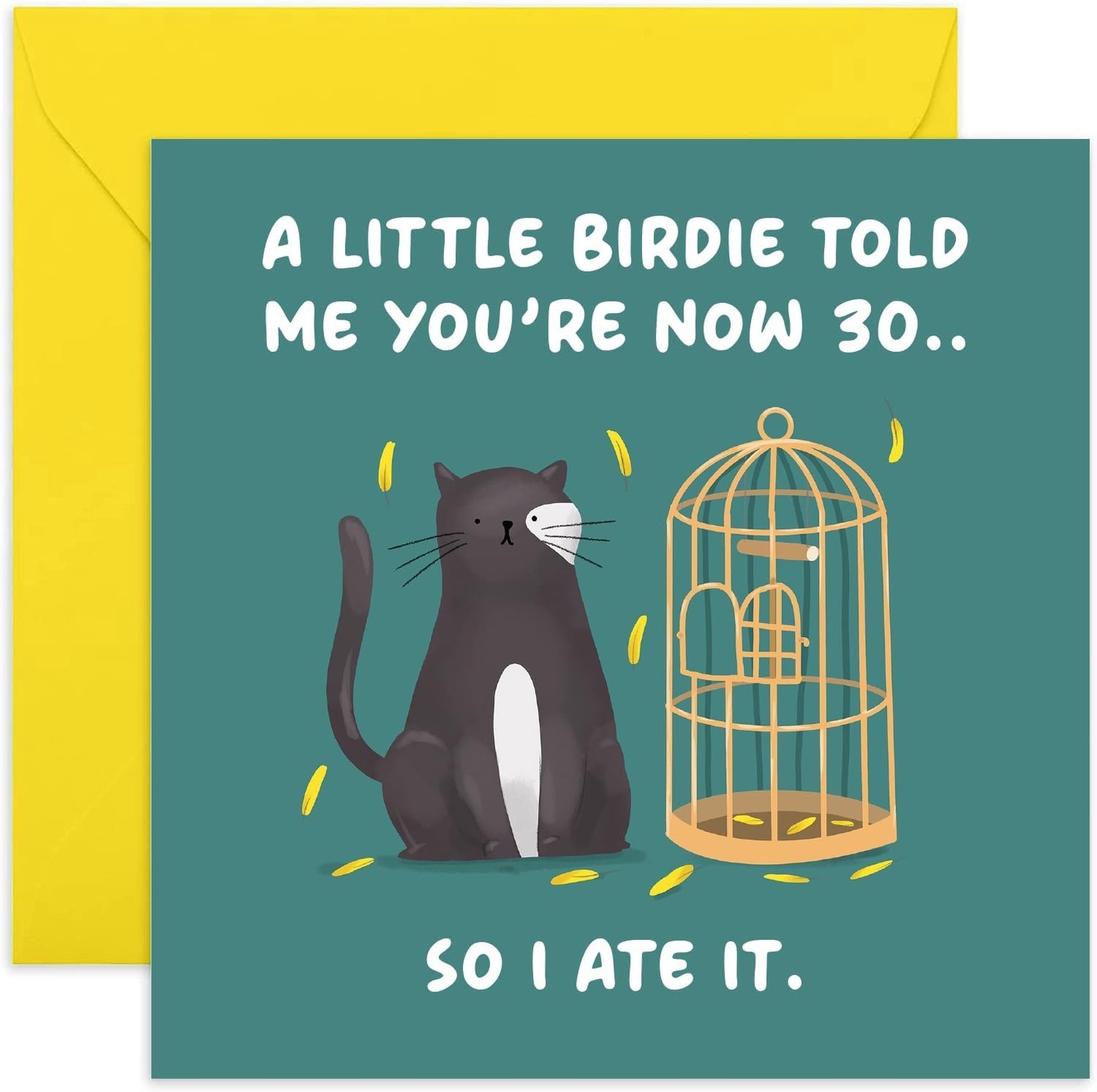 Old English Co. Funny Cat 30th Birthday Card for Men and Women – Hilarious Th…