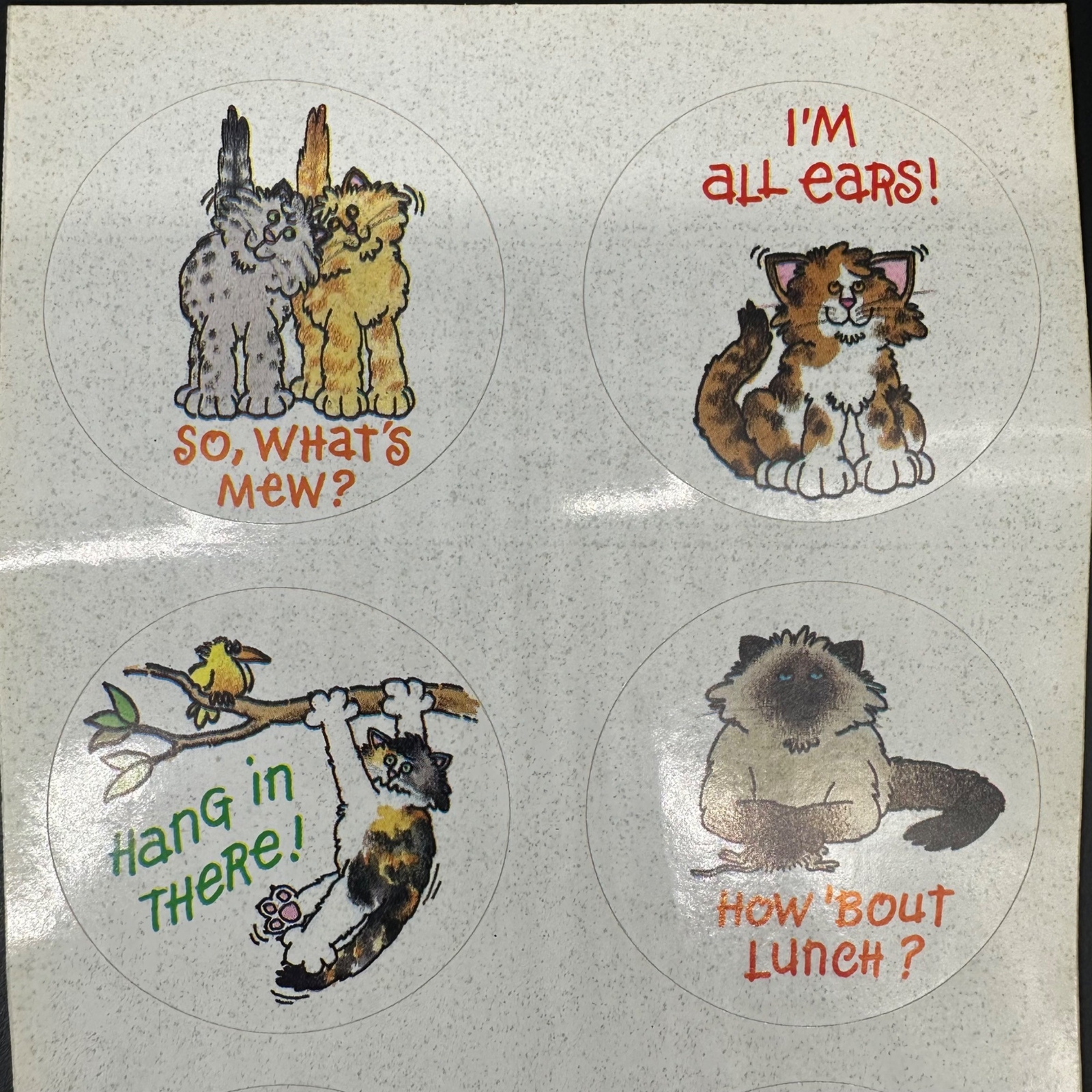 Vintage Kitty Cat Stickers Frazzled Felines 1986 Current Kitschy Humor Round 80s