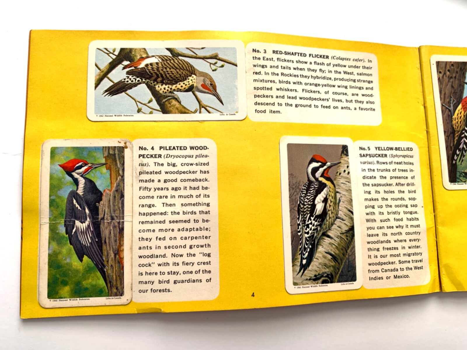 Canadian-American Songbirds Booklet Album #9, Birds, Songbirds, Brooke Bond 1966