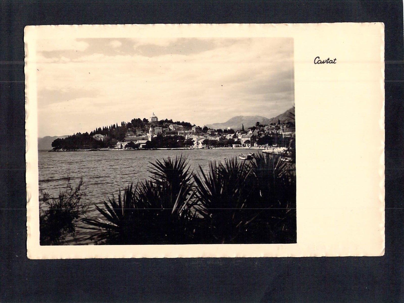 E7696 Croatia Cavtat vintage postcard