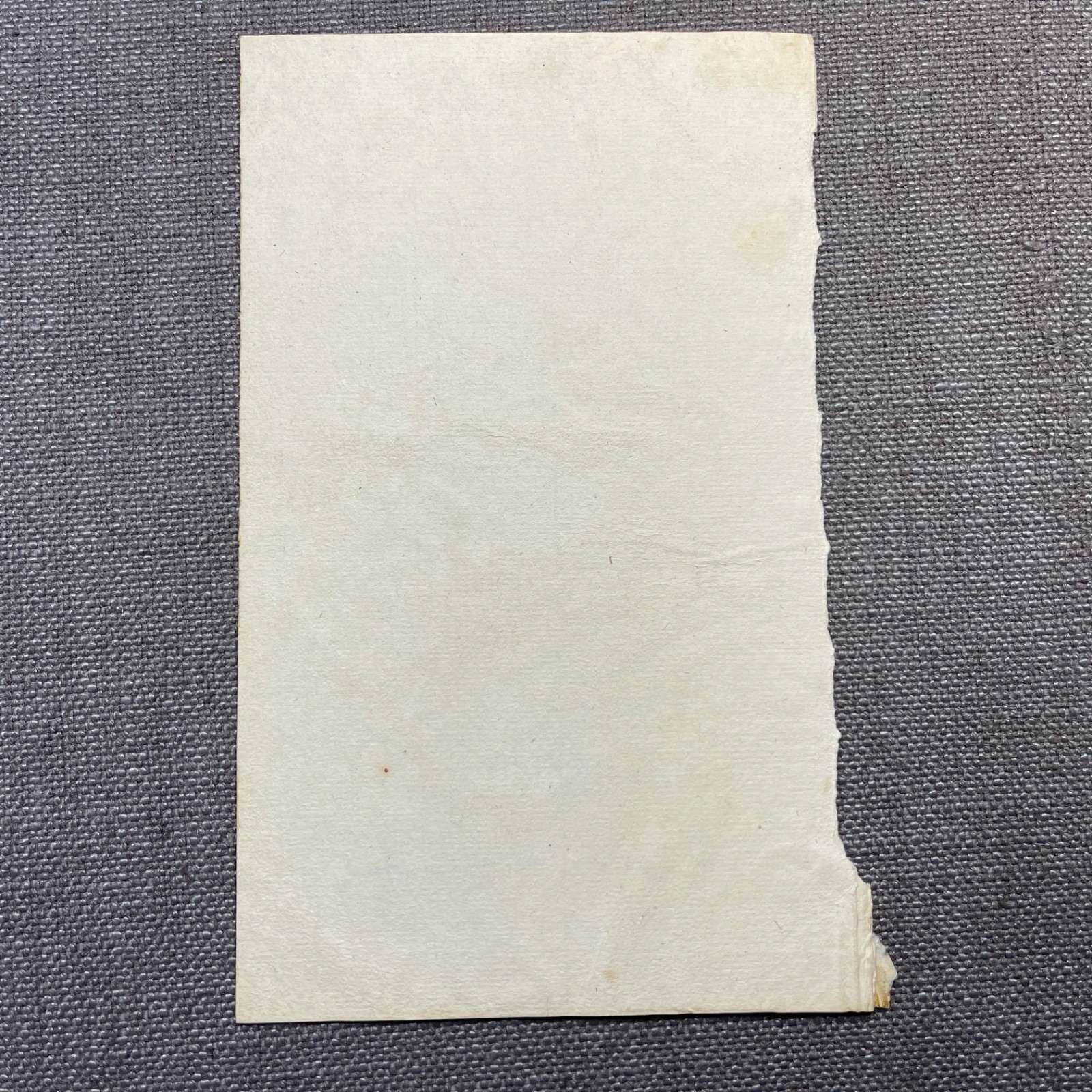 Antique Marbled End Papers Pair 1800s Bookbinding Blue Brown Beige White