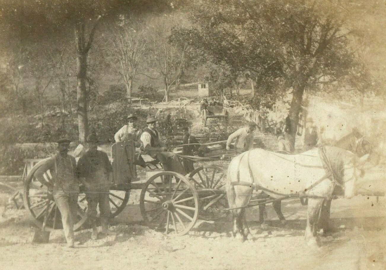 c1910 Carriage Horse Workers on Job Hauling Dirt Road Photo Card