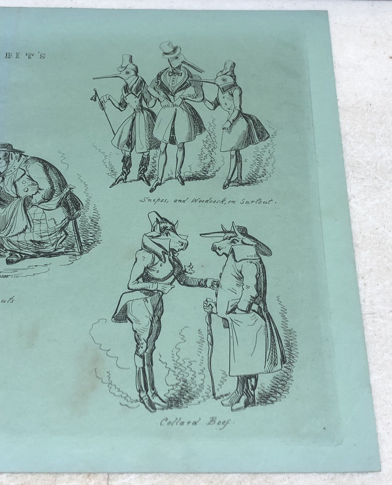 Antique Page / Print – TIT-BIT’S Animal Caricatures Pub. by Ackermann c1830s? L2