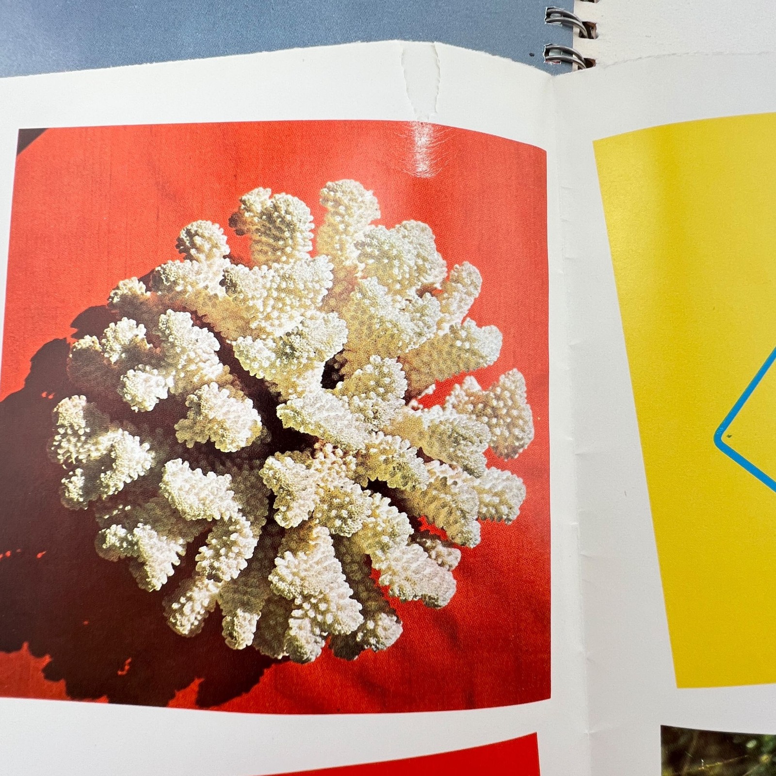 Graphic Design and Sample Papers 1973 Australia Champion Papers Imagination XVII