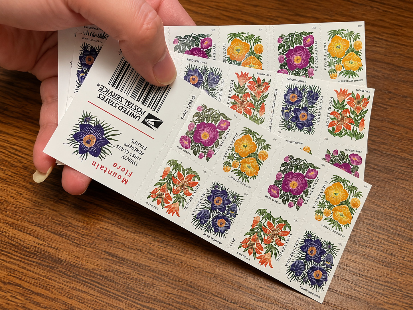 100 USPS Scott #5673-5676 Mountain Flora Forever Stamps Postage 5 Sheets MNH