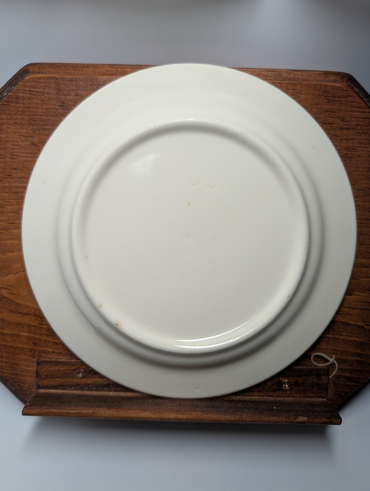 1960’s Vintage Retro Gingham Garden Plate 71/2 Inch Dessert Plate – Made in USA
