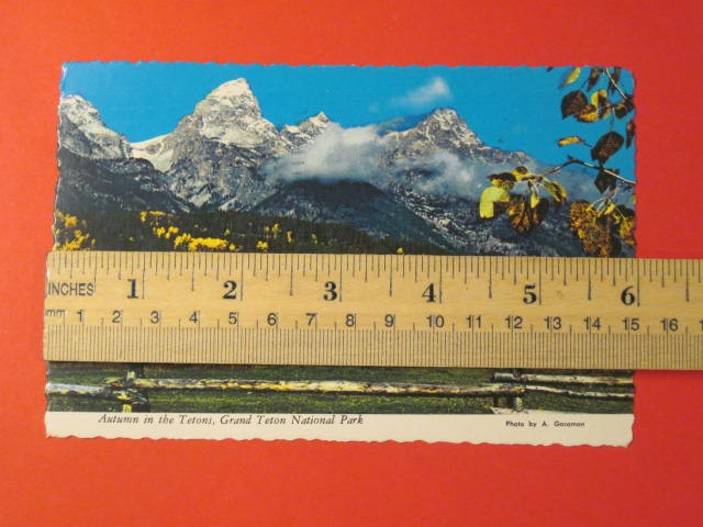 Autumn in Grand Teton National Park Postcard – Scalloped Edge / 4″x6″