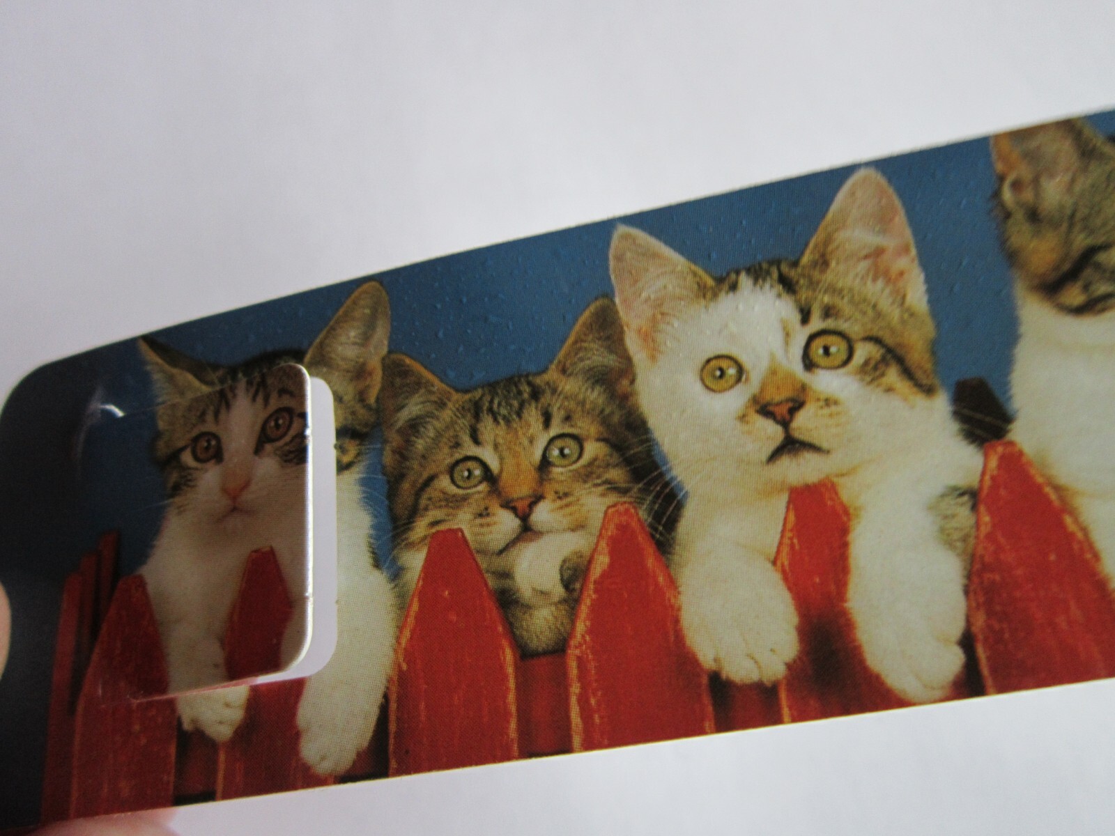 Vintage Bookmark Kittens 5 on fence Ron Kimball 1990’s photo Antioch Tabby Cat