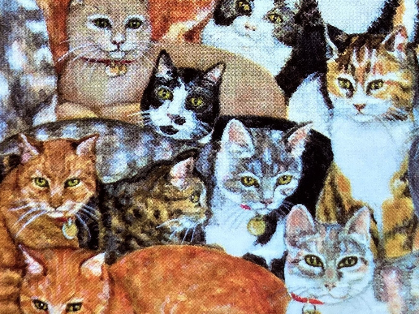 1 Lots of Cats Large Blank Note Card Ditz Orange Tabby Calico Black Gray Tux