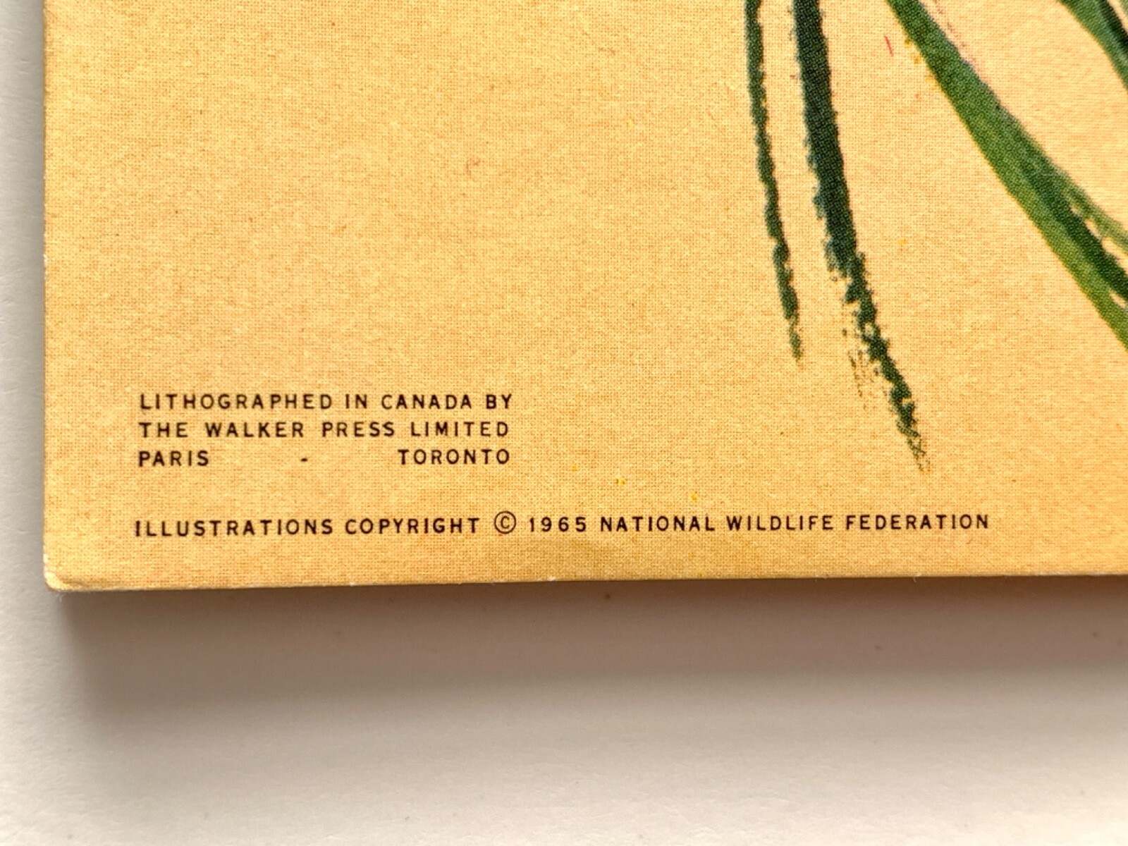 Canadian-American Songbirds Booklet Album #9, Birds, Songbirds, Brooke Bond 1966