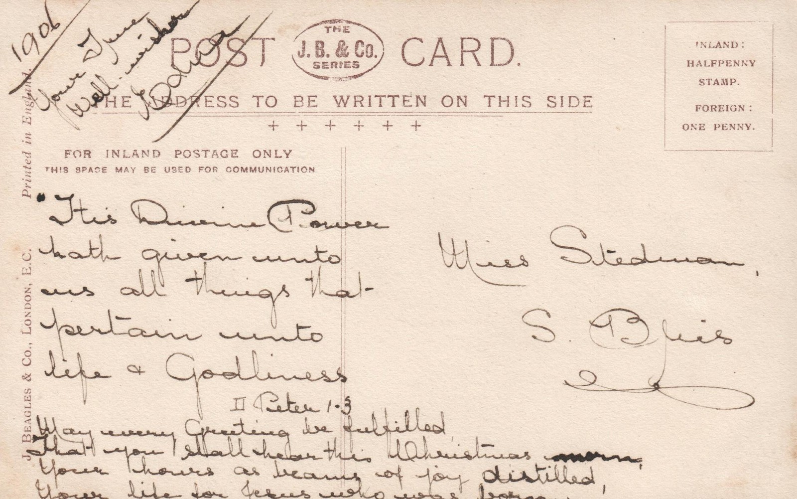 1906 Real Photo Fluffy Kittens POSTCARD – addressed to Miss Sedman S. Brisbane