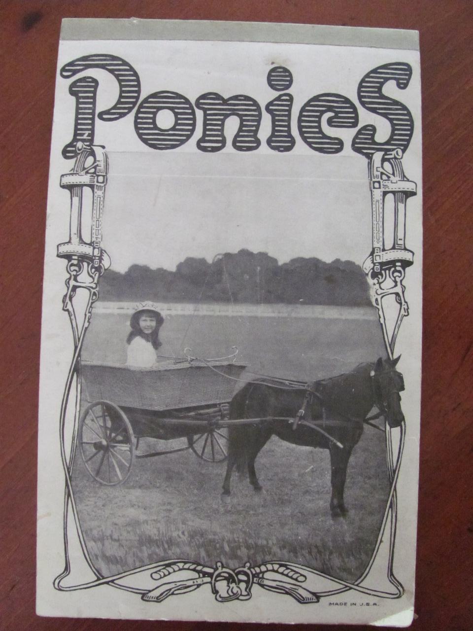 Little Girl Riding In Pony Cart Ponies Vintage Notebook Lined Writing Paper