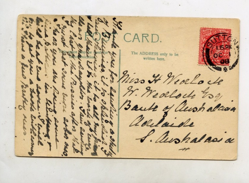 C 1908 ARTIST PU POSTCARD SUFFRAGETTE “VOTE FOR SHES” DOWN WITH TOM CATS N995.