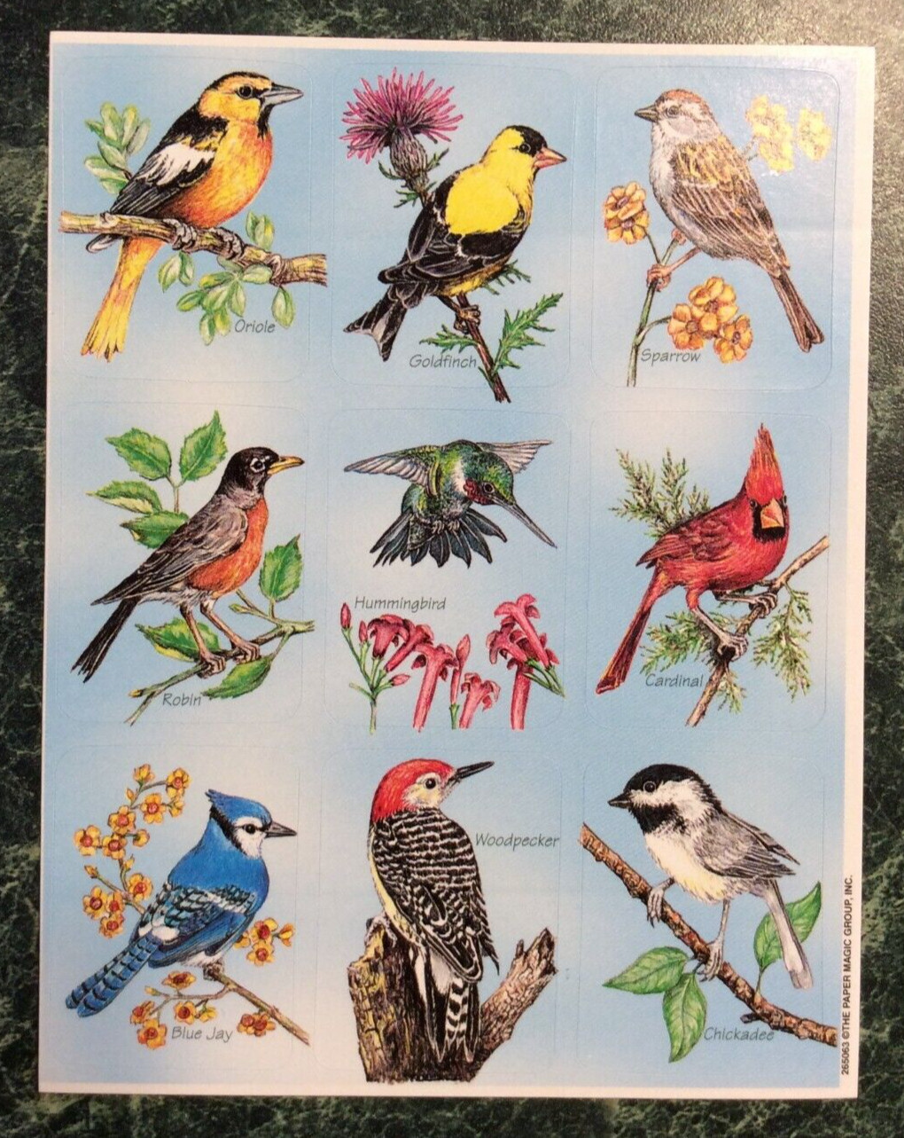 VTG Paper Magic Group Sticker Sheet Oriole Goldfinch Sparrow Birds Plant Flowers