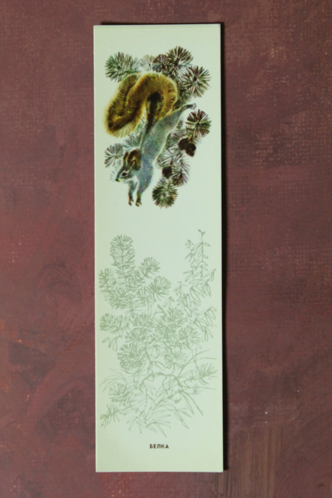 BOOKMARKS Animals in Forest Owl Russian USSR 1983 Full Set 5 Artist Kapustina🦊