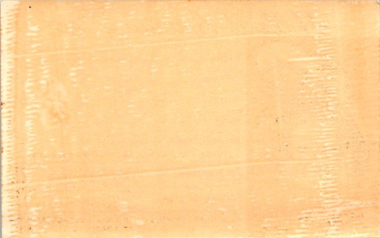 Holland-America Line SS Statendam Baggage Tag 1960 Hoboken NJ Cruise Orange-Red