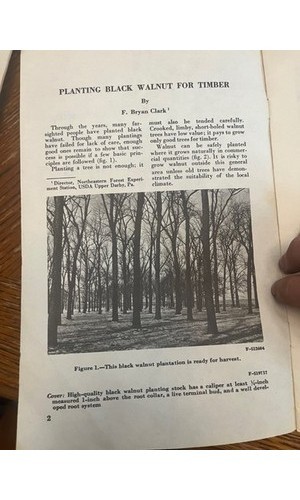 USDA Forest Service Leaflet 487 Black Walnut Timber Planting 1974 – Forestry