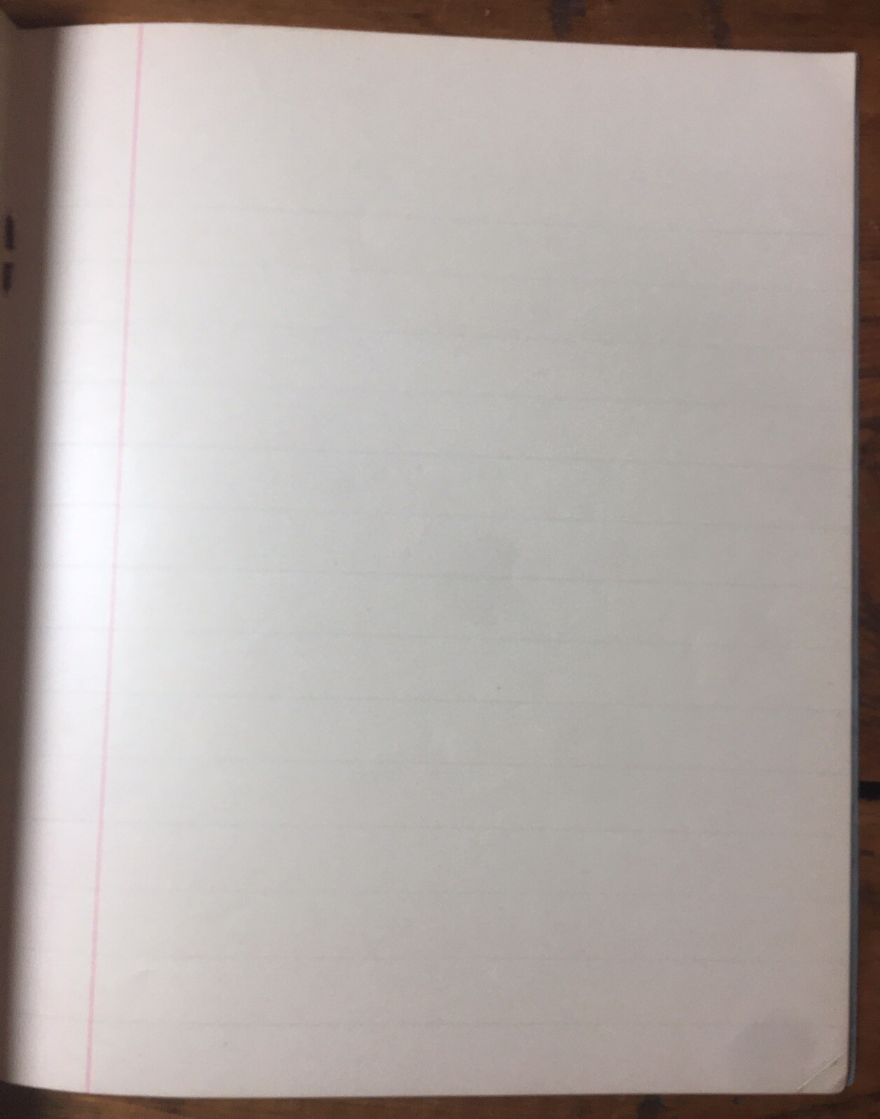 The University Blue Book Antique Lined Notebook