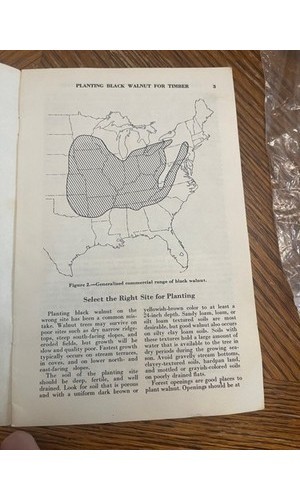 USDA Forest Service Leaflet 487 Black Walnut Timber Planting 1974 – Forestry