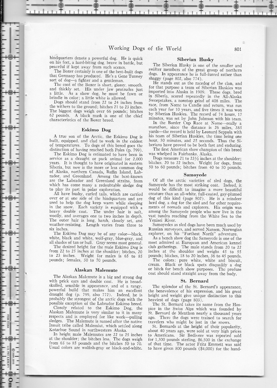 Working Dogs Of The World dog 1941 magazine article – 32 pgs