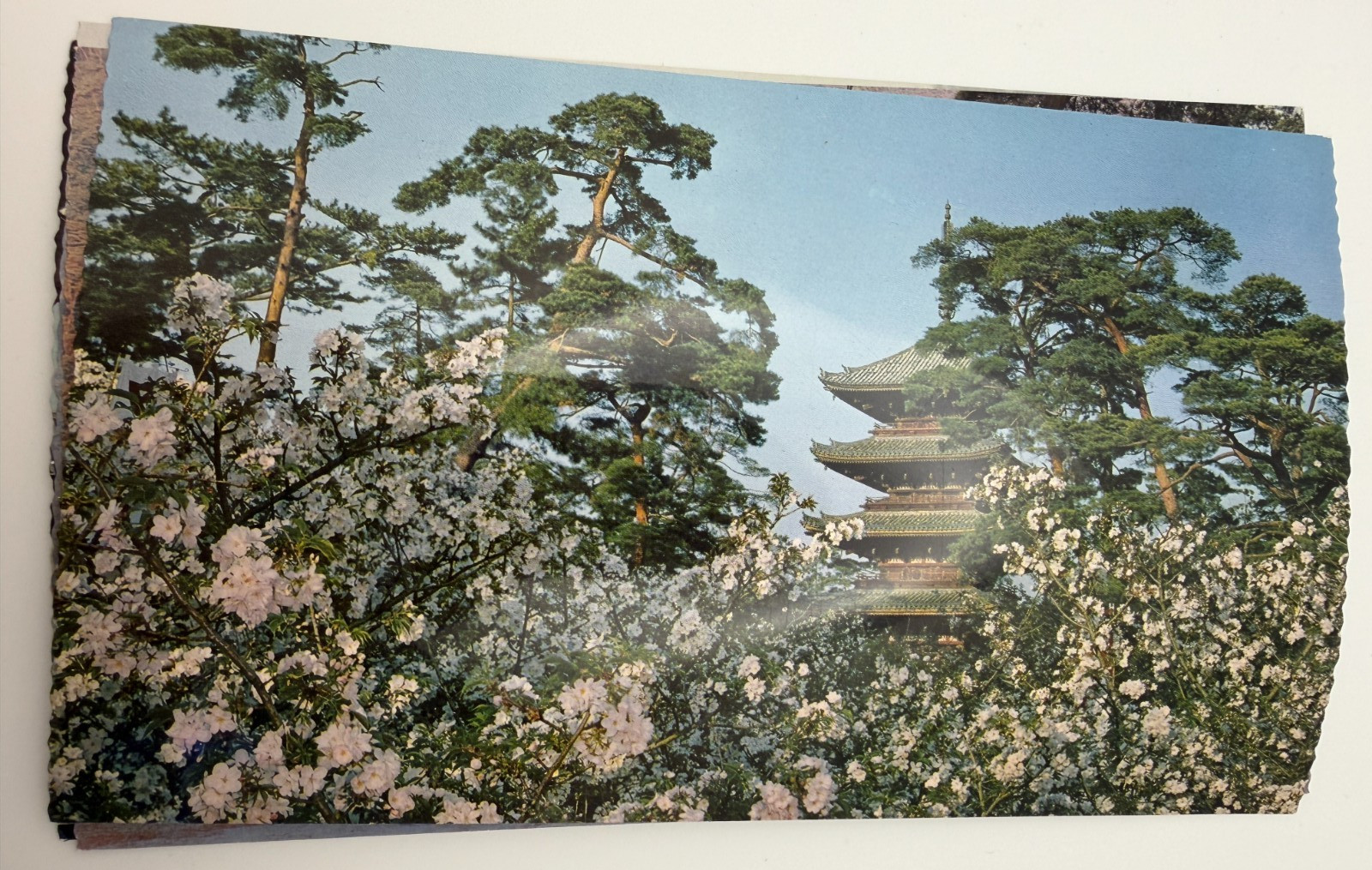 Vintage This Is Kyoto 6 Postcard Set Japan Hyogensha Co Ltd Kyoto Japan Printed