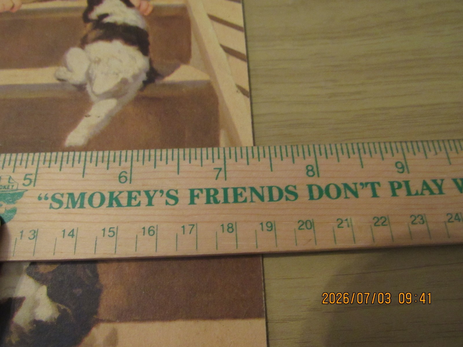 VTG Lithograph Jewel Tea Co Boy & Girl Sitting on Stairs with Puppies