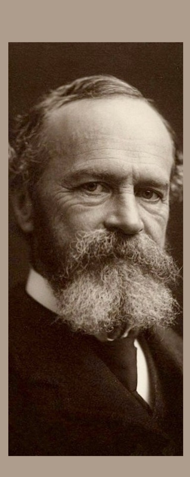 William James – American Philosopher -Laminated Photo Bookmark – 2.5 x 6 in