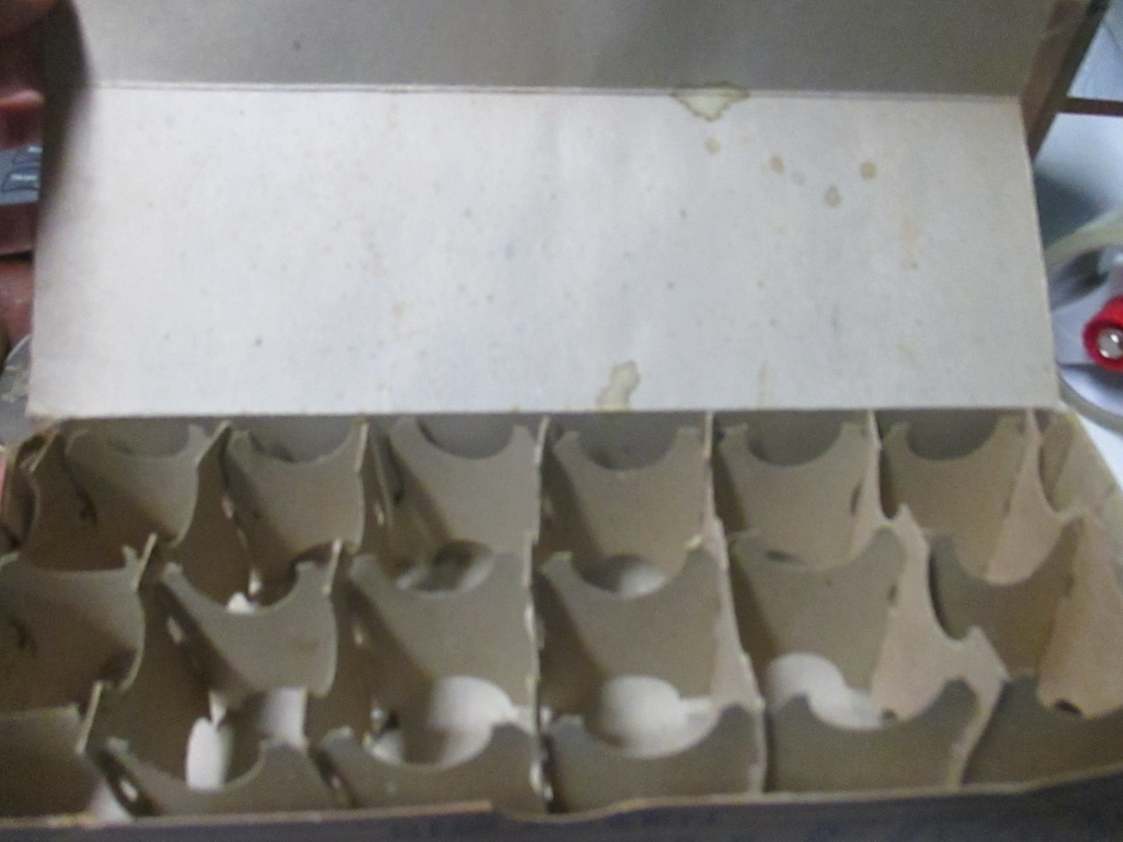 TWO Vintage Strictly Fresh 1 Dozen Eggs Cardboard Carton Farmhouse Decor Chicken