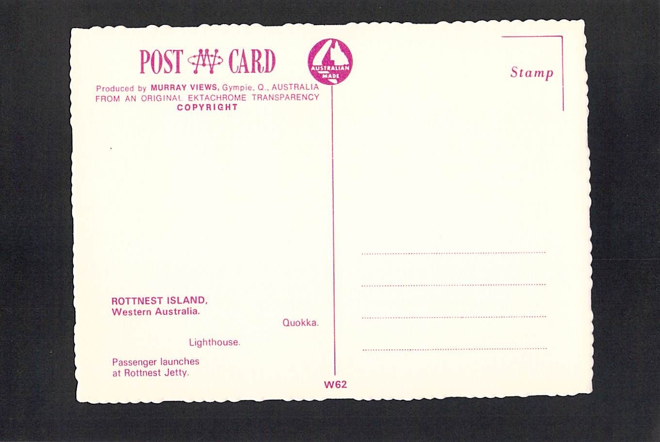 M4693 Australia WA Rottnest Island Lighthouse Quokka MV postcard