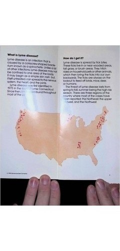 Lyme Disease Pamphlet Parke-Davis *Borrelia* Ticks Medical History 1990