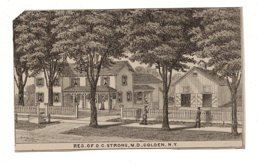 1880 Antique Lithograph House of Dr. O. C. Strong in Colden New York