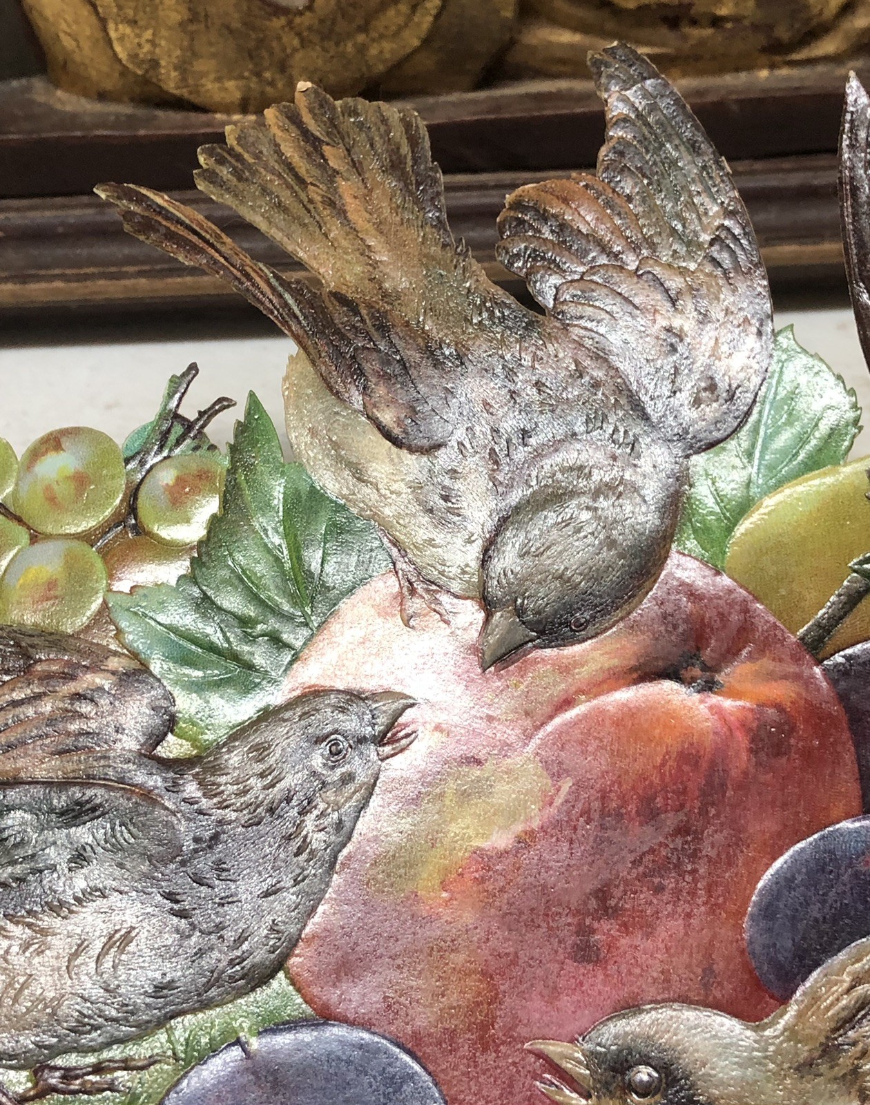 Birds Eating Fruits Victorian Die Cut Large Scrap – L8