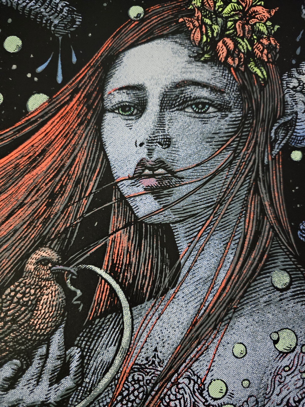 Widespread Panic David Welker Wantagh New York Signed Poster Screen Print # NY