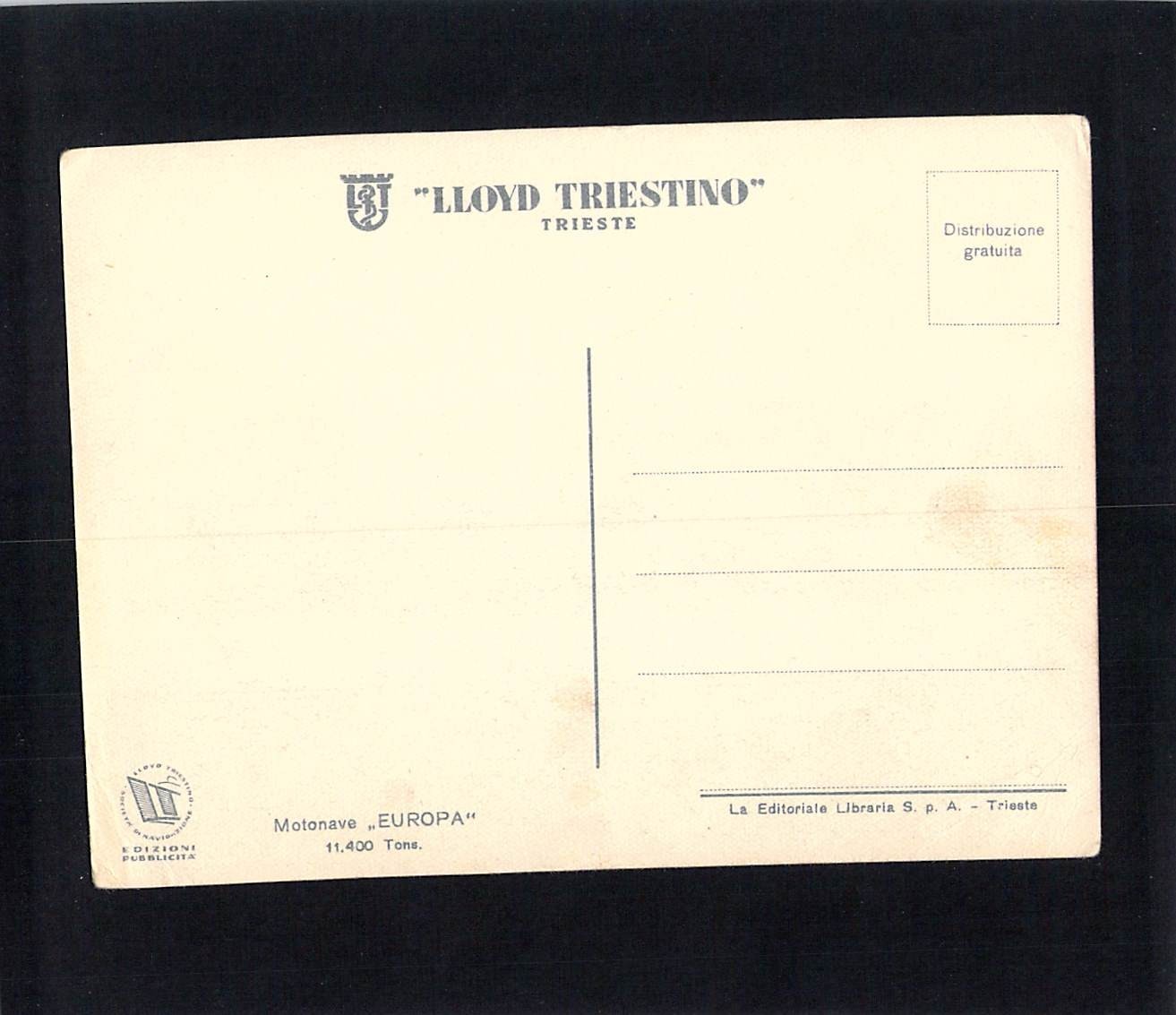 F1455ski Transport Ship MS Europa Lloyd Triestino postcard