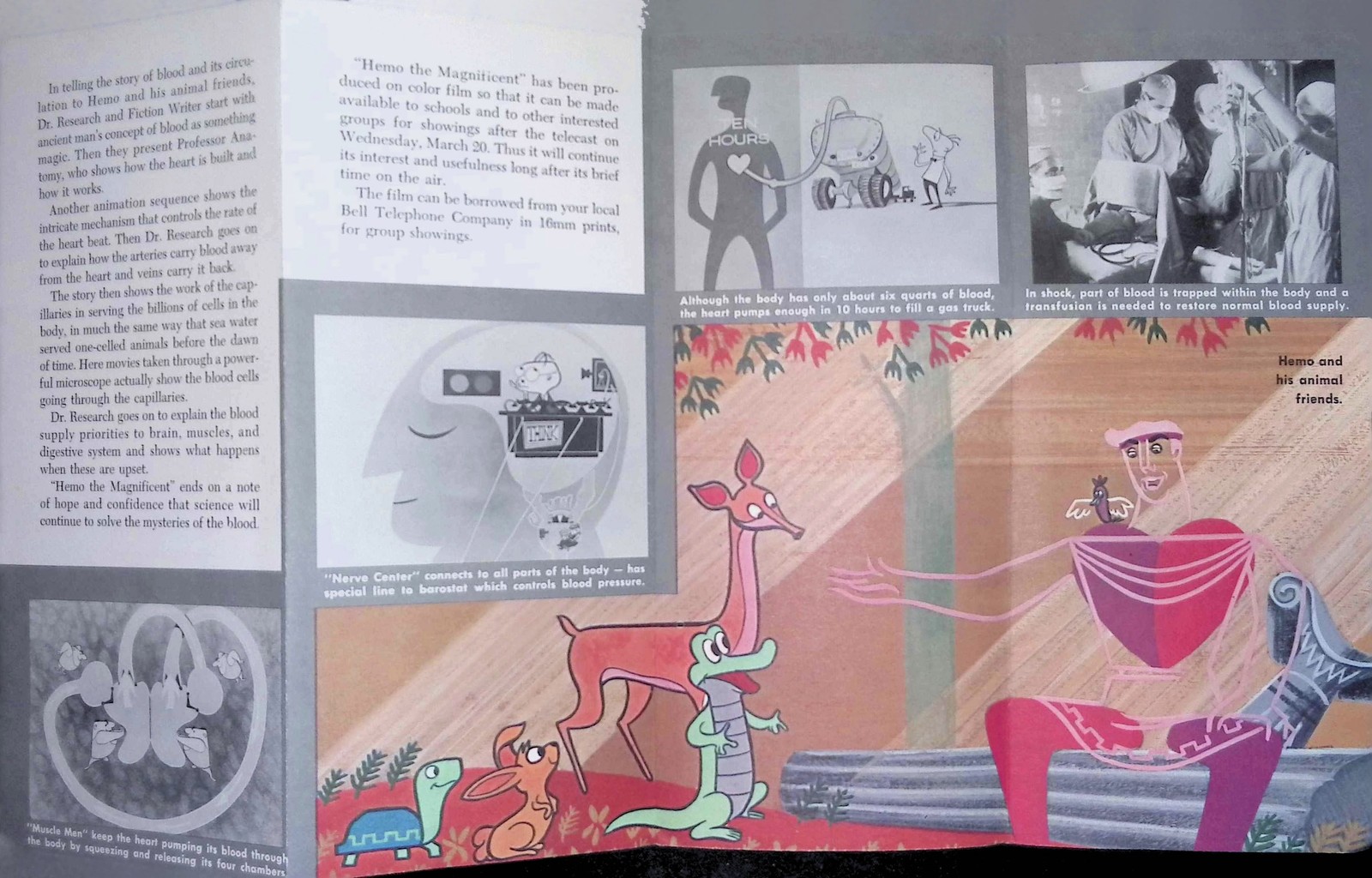 AT & T Bell System hemo the magnificent Science Series Booklet c1950s blood