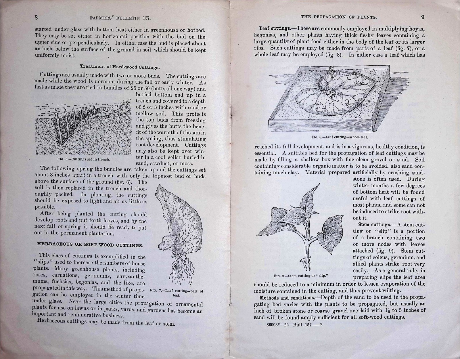 USDA Farmers’ Bulletin 157 Plant Propagation 1900 Pamphlet Softcover Agriculture