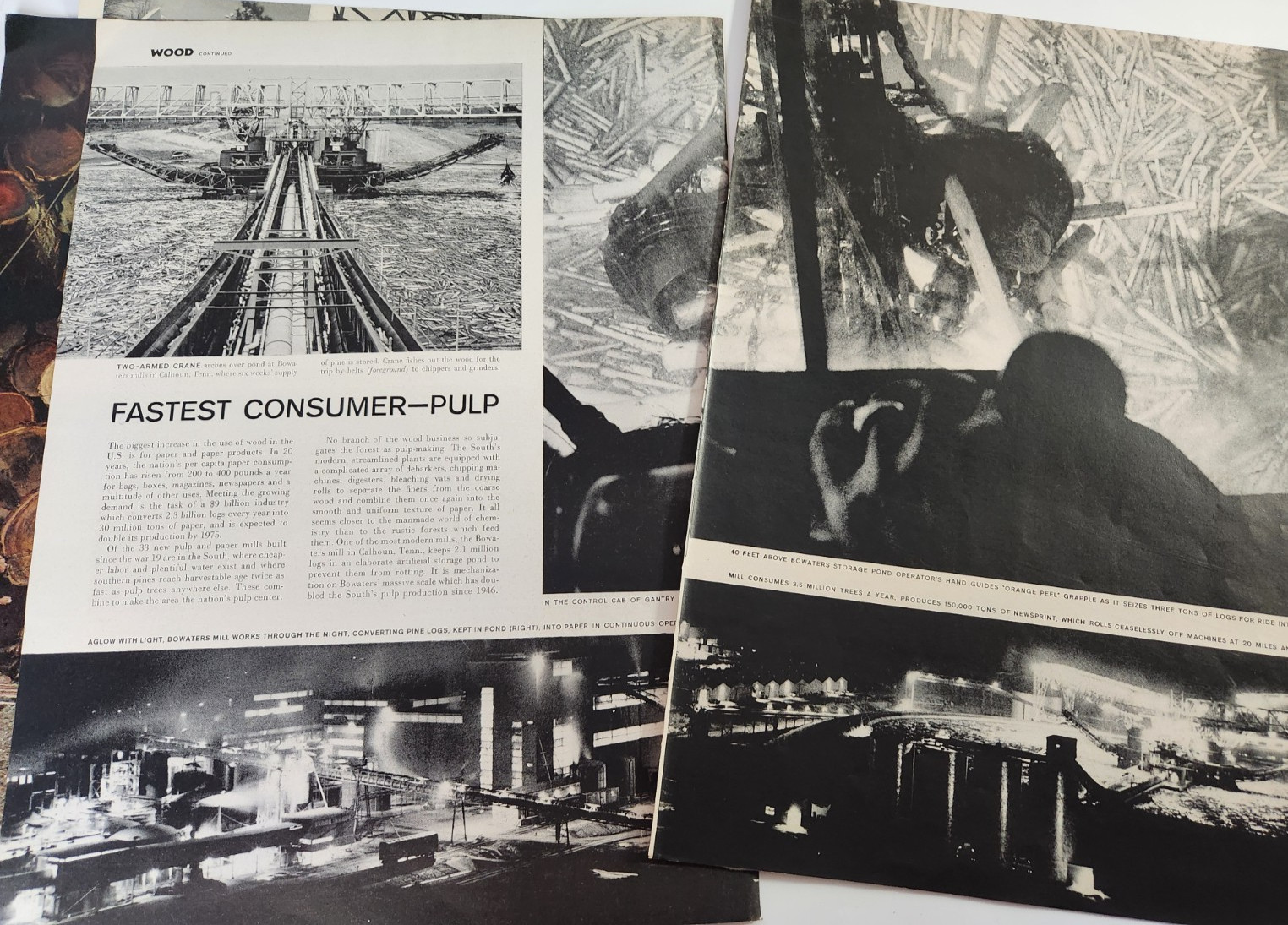Timber Industry Logging Forestry Vtg 1955 Magazine Print 10 Page Article Images