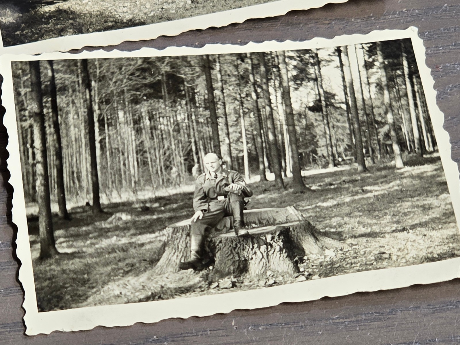 TIMBER! LUFTWAFFE OFFICERS LUMBER TREE CUTTING WW2 WWII German Photo lot