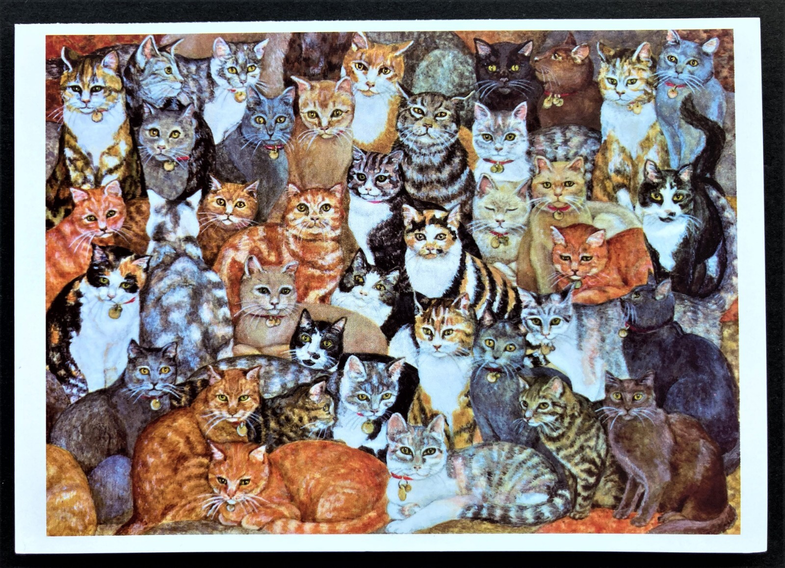 1 Lots of Cats Large Blank Note Card Ditz Orange Tabby Calico Black Gray Tux