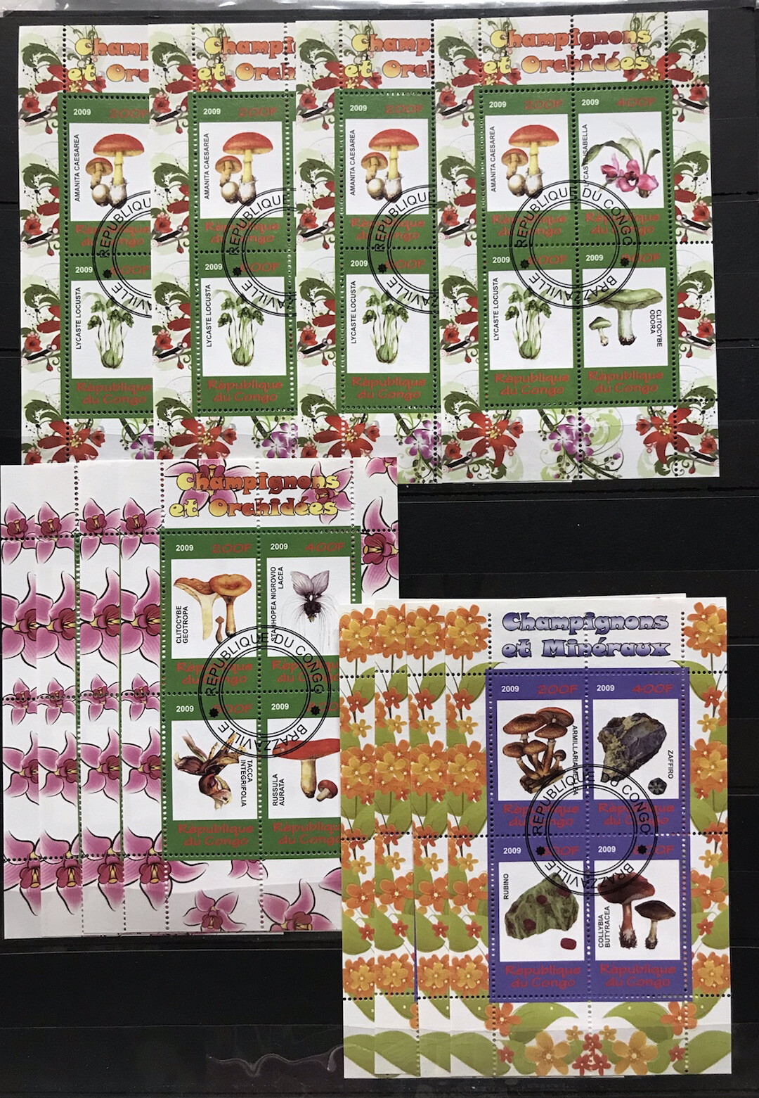 10x Flora / Mushrooms – CTO Paper without Glue – D116