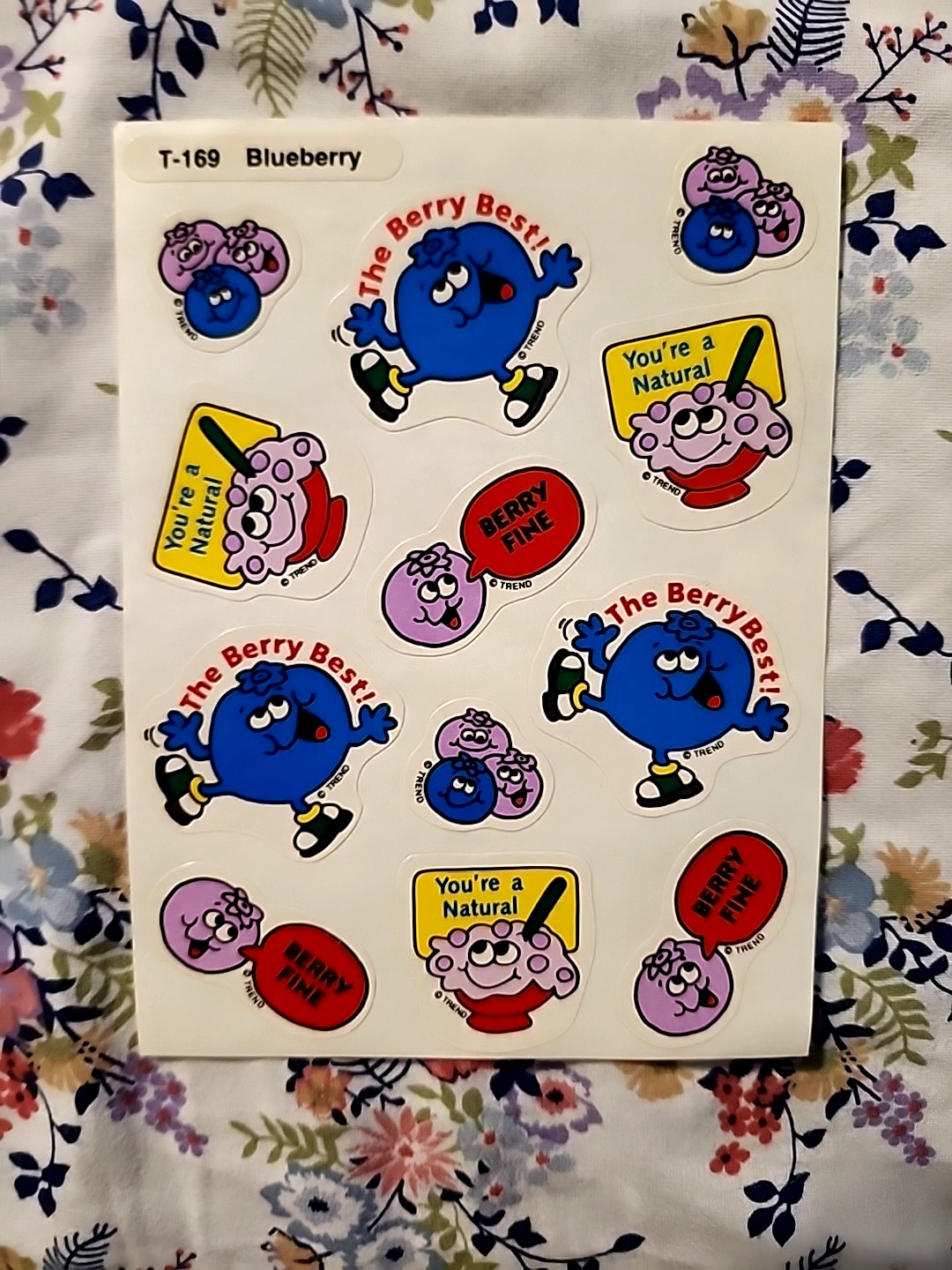 NEW Vintage TREND Scratch & Sniff Sticker FULL Sheet BLUEBERRY Scent RARE