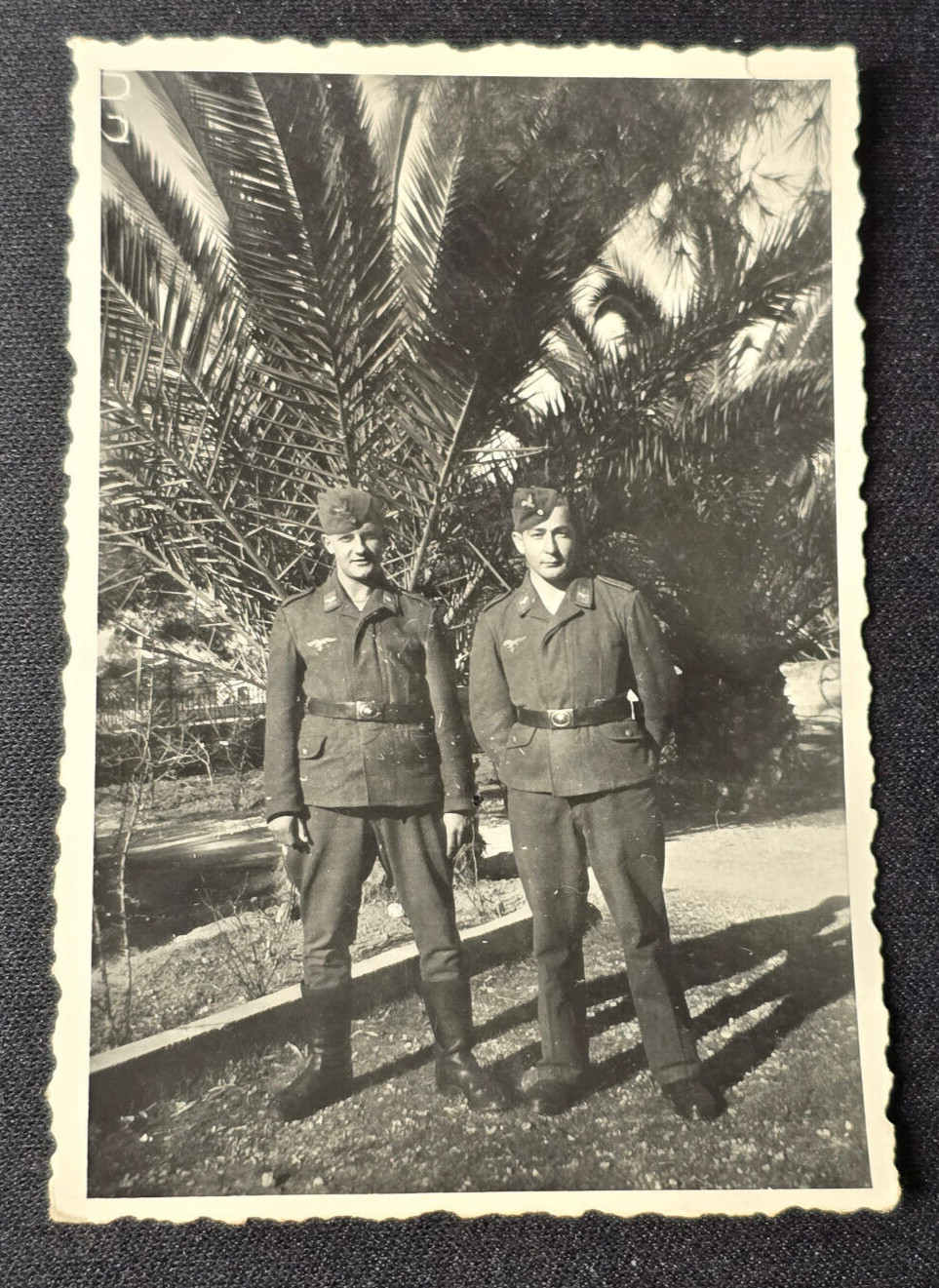 LUFTWAFFE BROTHERS ITALY? AFRIKA? WW2 WWII German Wartime Military Photo
