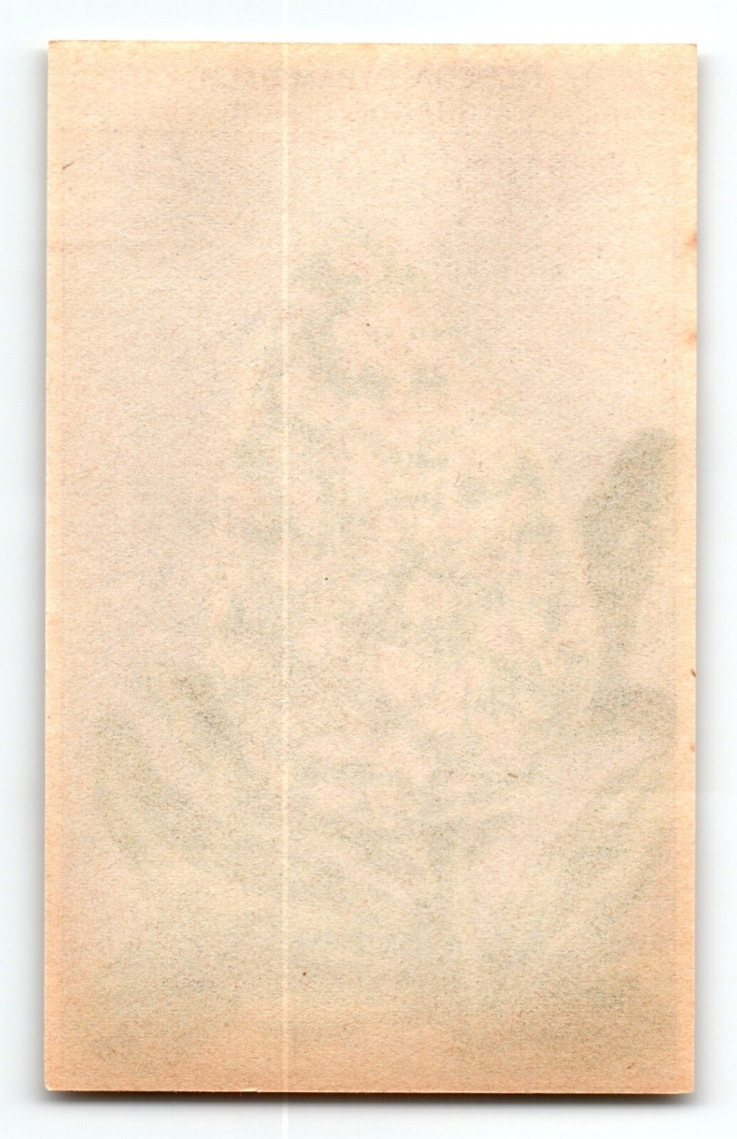 1920’s Flower Art Print RESEDA PYRAMID Lithograph Original Vintage For Seed Pack