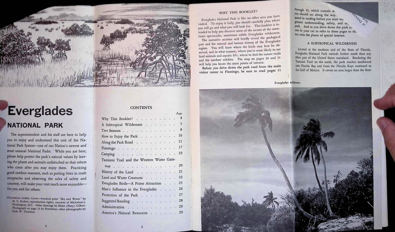 Everglades Nat’l Park FL Map Brochure c1950s Mid-Century NPS