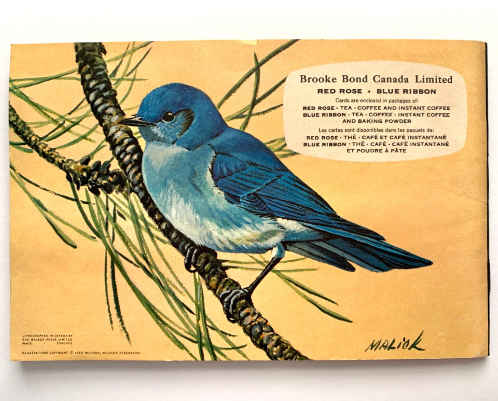 Canadian-American Songbirds Booklet Album #9, Birds, Songbirds, Brooke Bond 1966